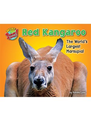 cover image of Red Kangaroo